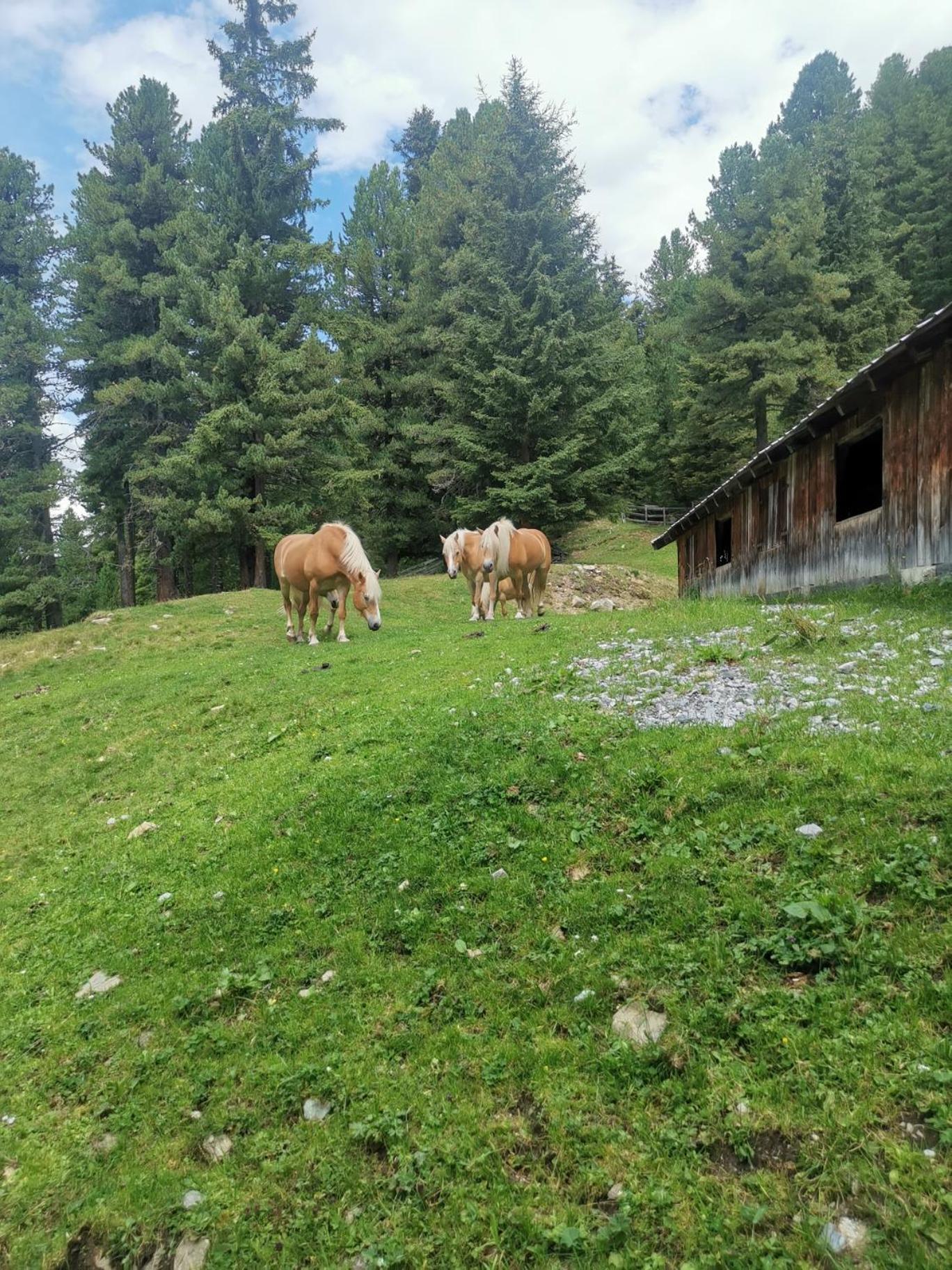 Pitztal Living Aparthotel Jerzens Kültér fotó